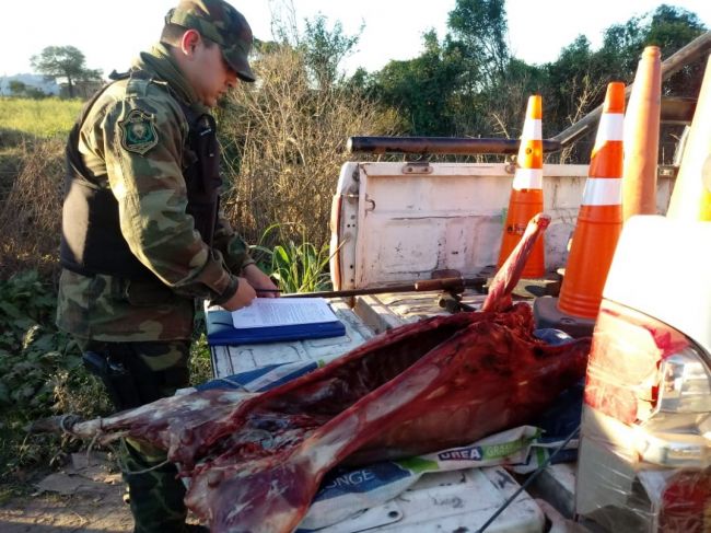 Carne faenada en forma clandestina