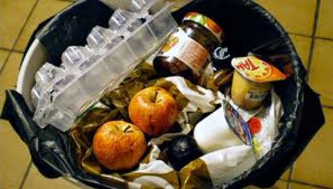 El proyecto pasó al Senado en revisión