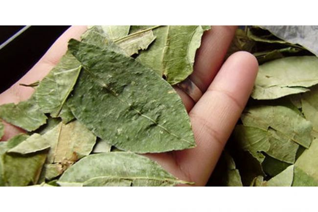 Alivio para quienes coquean