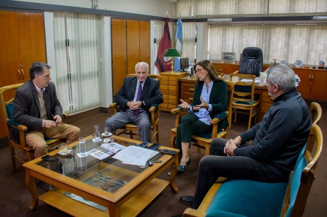 Fondo compensador en análisis