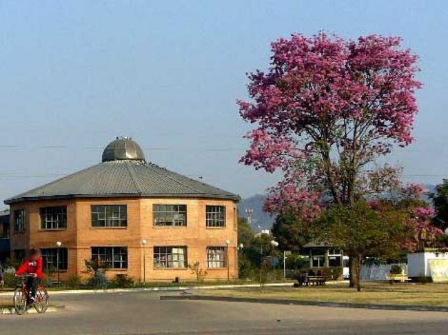 Crimen en la Terminal