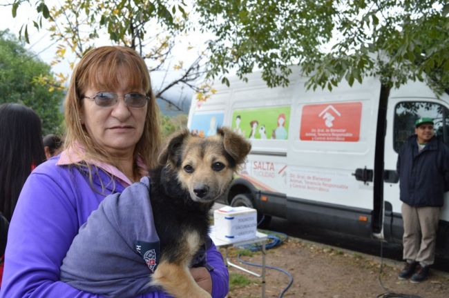 Campaña de vacunación