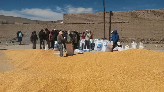 Ayuda a pequeños productores