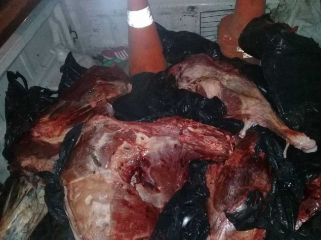 La carne era transportada irregularmente