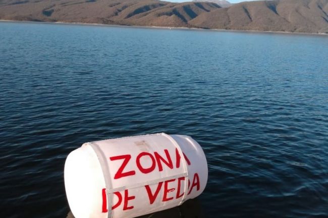 Veda en los espejos de agua