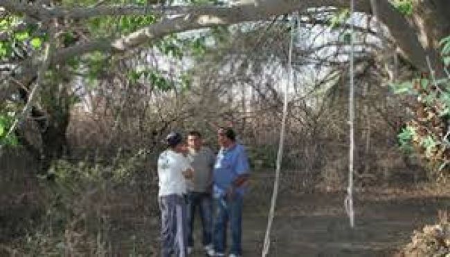 Lugar del hallazgo de los cuerpos