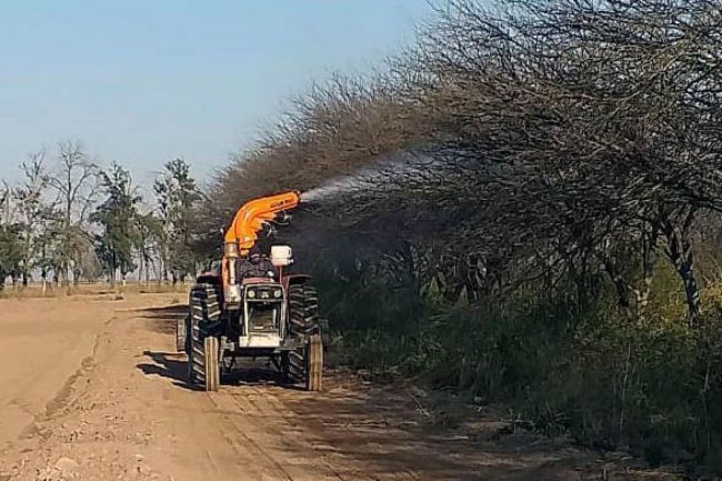 Monitoreo por eventual llegada de langostas
