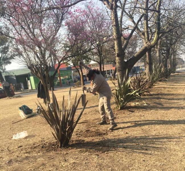 Plaza ciudad de Bs. As.