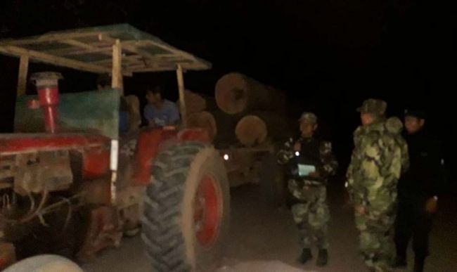 Transporte irregular de productos forestales