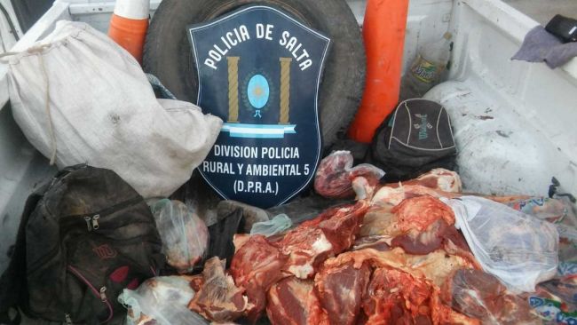 Cuatreros faenaban en forma clandestina